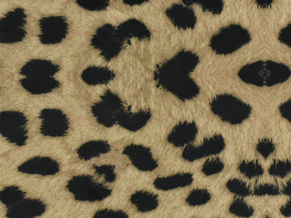 Heavy Weight Animal Print Velvet Upholstery Fabric|Tiger Gold Animal Print Fabric|Cow Print Fabric|Furniture Velvet Fabric-620GSM Weight