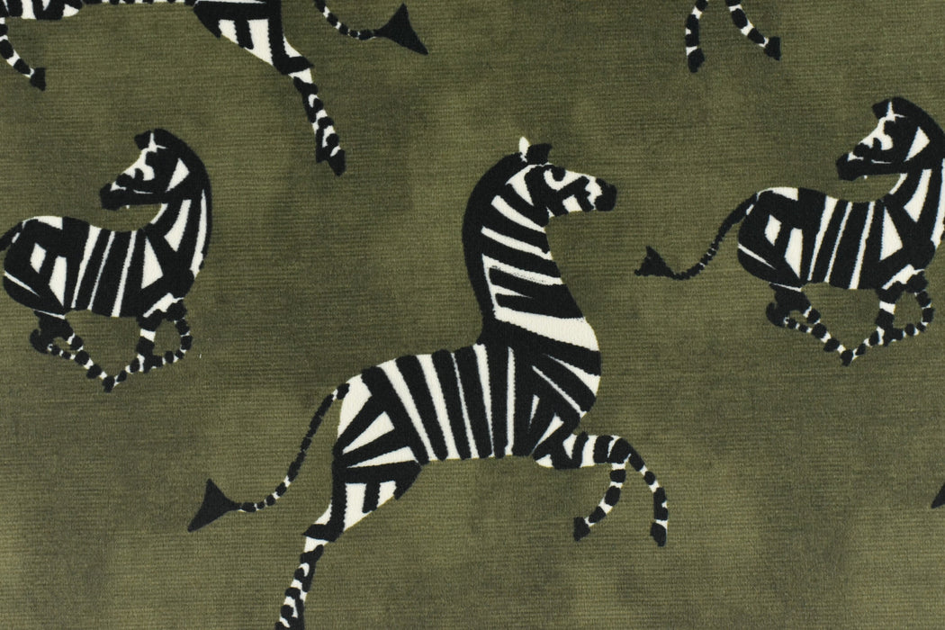 Exotic Dancing Zebra Velvet Upholstery Fabric in Green|Designer Playful Animal Print Velvet Upholstery Fabric For Chair Pillow Cusion Bench