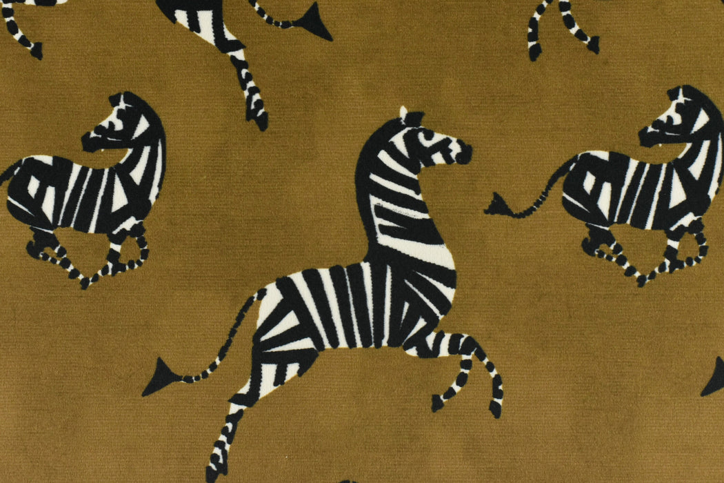 Gold Brown Playful Dancing Zebra Velvet Upholstery Fabric|Designer Animal Print Thick Velvet Upholstery Fabric For Chair Pillow Cusion Bench