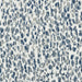 Heavy Weight Sage Green Teal Geometric Cut Velvet Upholstery Fabric For Chair|Abstract Pattern Furniture Fabric|Retro Modern Sofa Fabric
